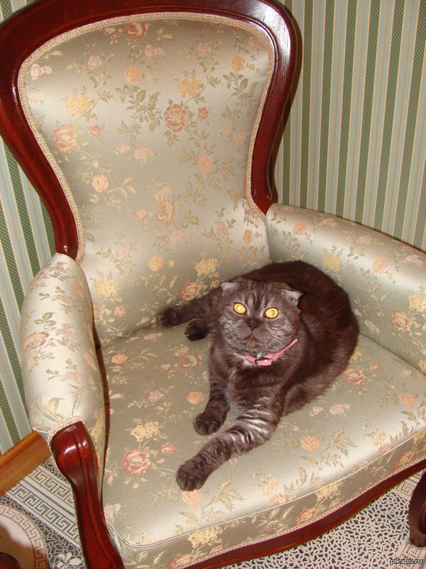 ���� ���������