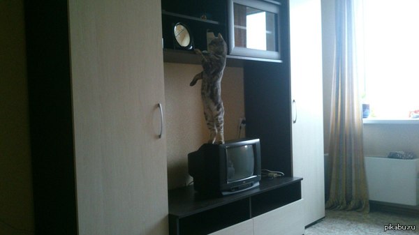 � ��� ���� ��� ������ �������?