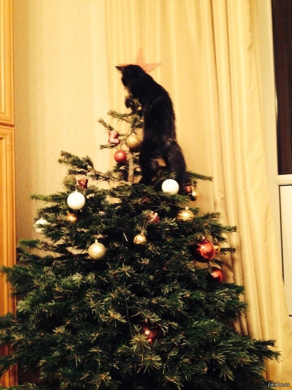 ����� ������� ��� ������� �������� ������� ������(�������� ��� � ��� ����)