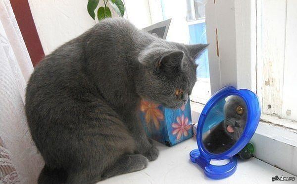 Это ещё кто там дразнится?!