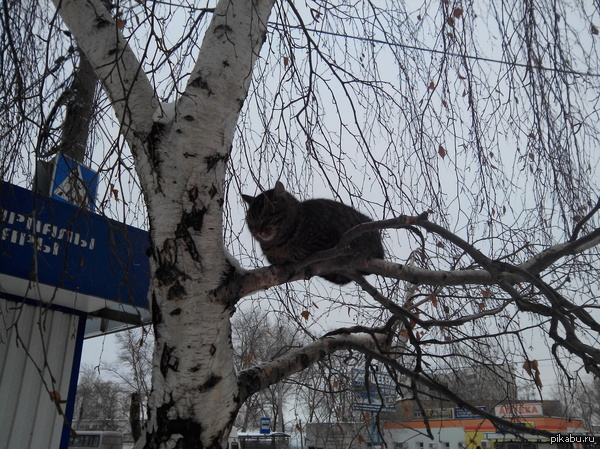 �������� ������� ������ ��� ������ :)