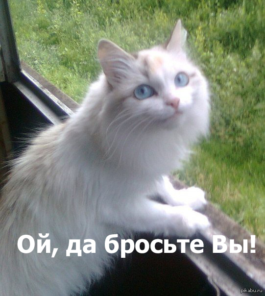   <a href="http://pikabu.ru/story/glazki_stroit_2905762.">http://pikabu.ru/story/_2905762</a>     - ,       ,   .