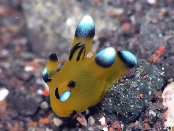 ������ � �������� �����