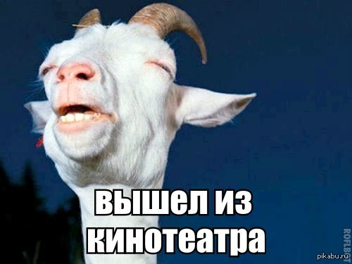 ��� �����