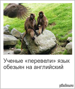 Универсальный