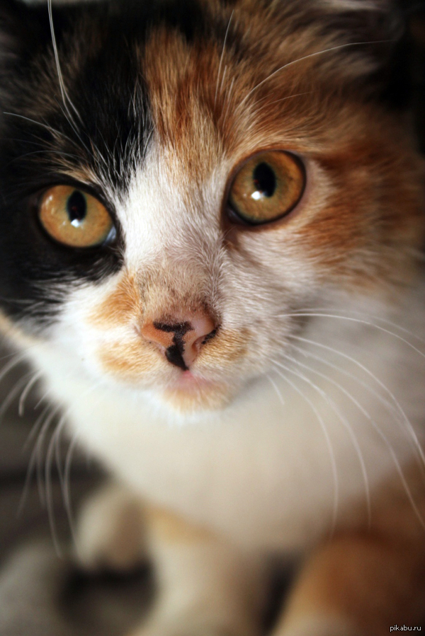 ������^^