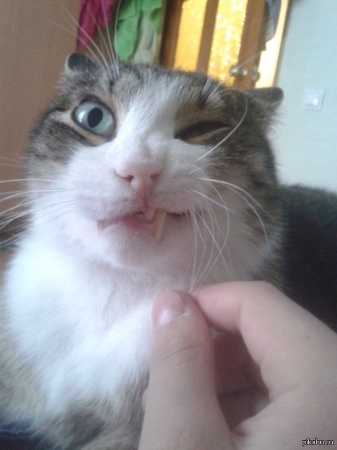 ����� ���� ������� ���� �� ���...