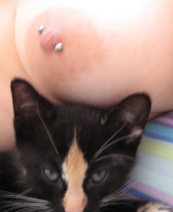 The combination of pleasant and useful - NSFW, Piercing, Breast, Nipples, Girls, cat