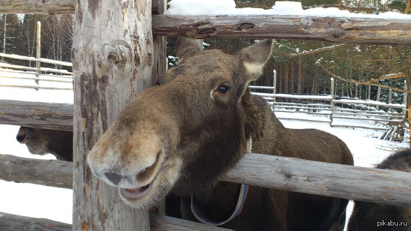 ����� ��������� ����!