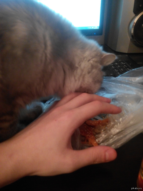 ��� �������� ������� �������� �������� ��� �����, ����� ��������� �� ���������. � ��� �������� ����� ���������?