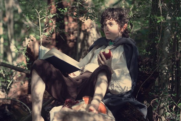 Frodo Baggins 
