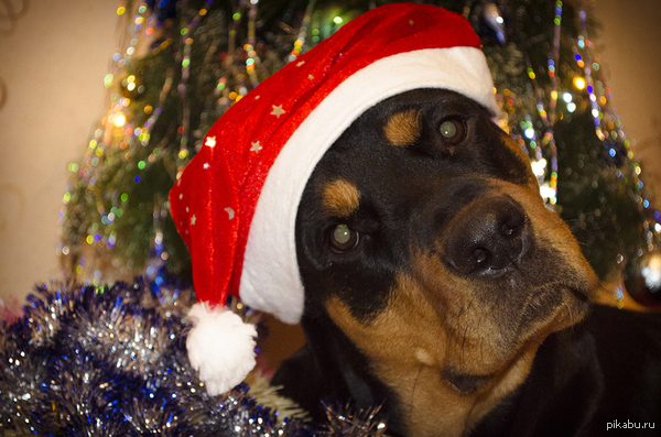 ���� � �����������!