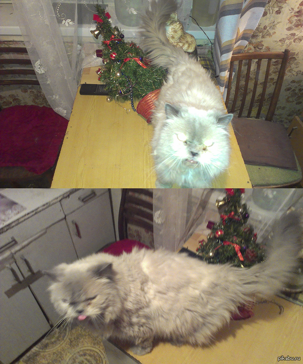 ����� ������ ����!