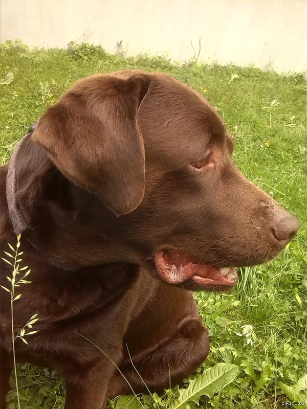 ������� � ������� ������