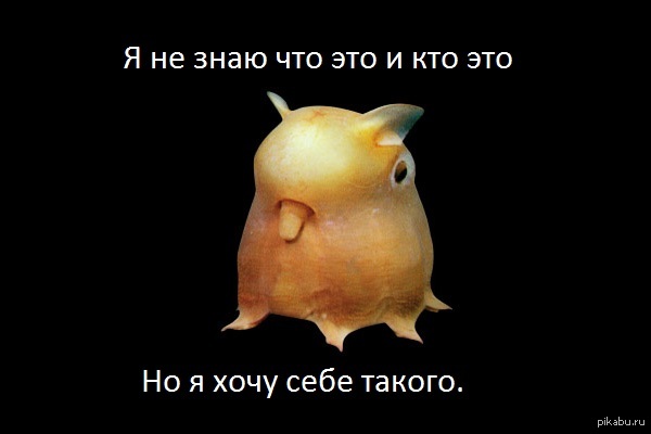 Я не знаю кто это и что это но я хочу себе такого