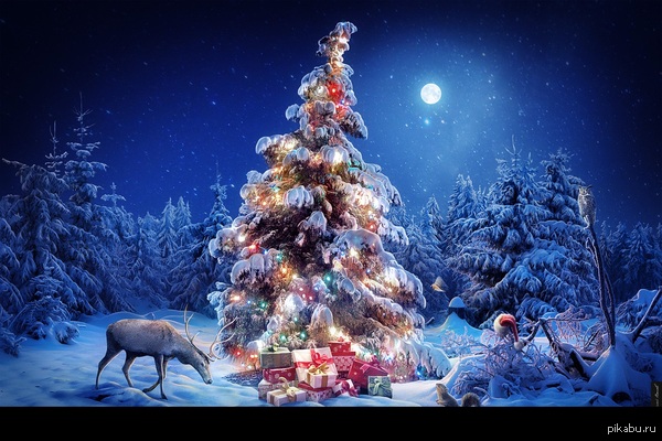 �� �� ������ ;)