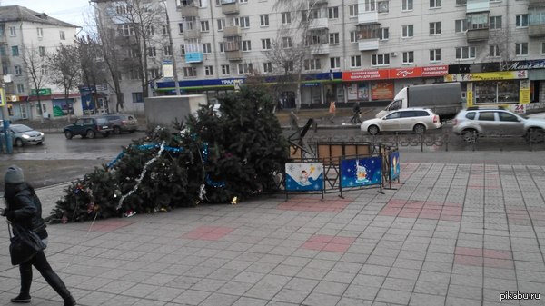 Ёлка, ты пьяна, иди домой