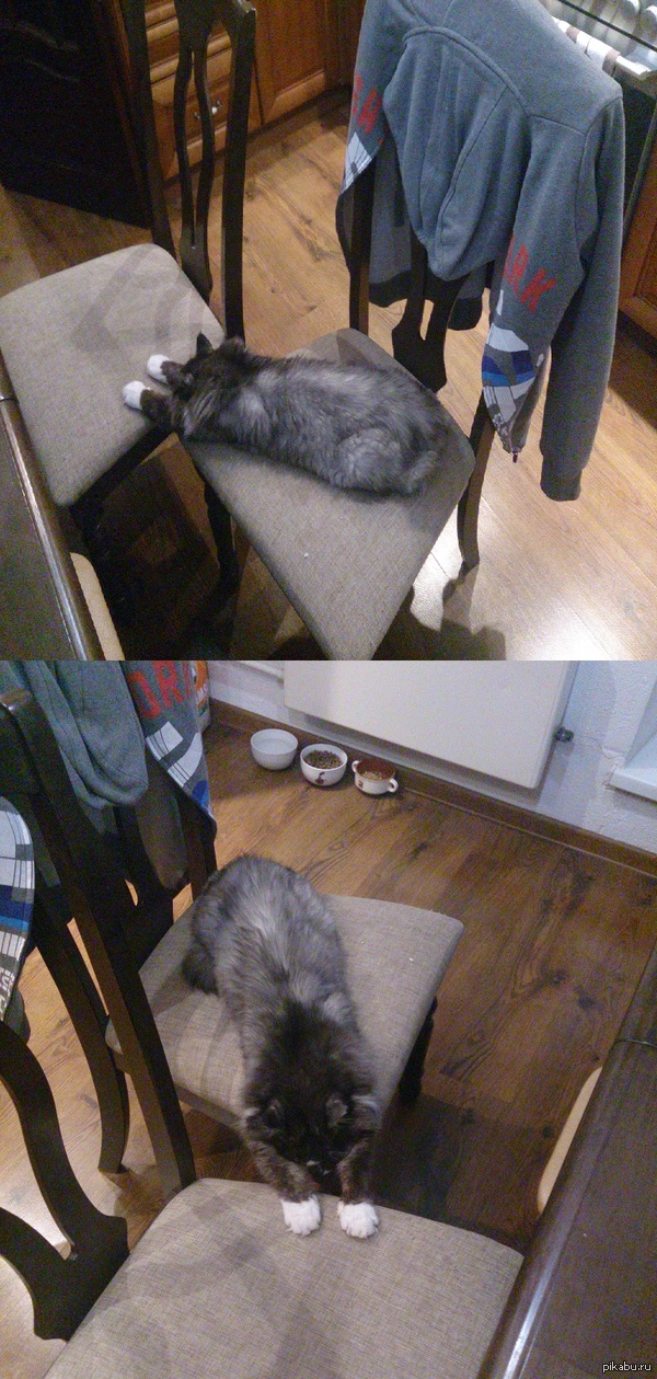 ����� ������ �������!