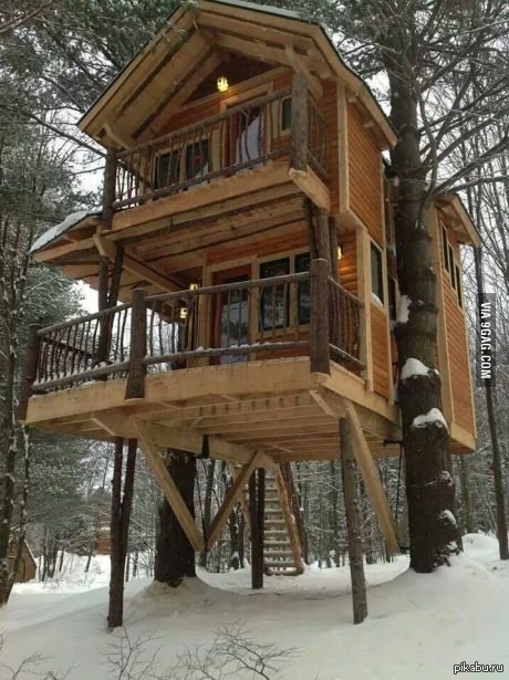 "Домик на дереве"