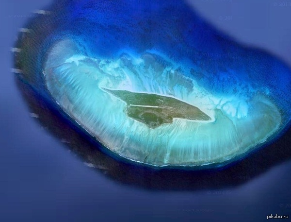 Кого вы тут видите?