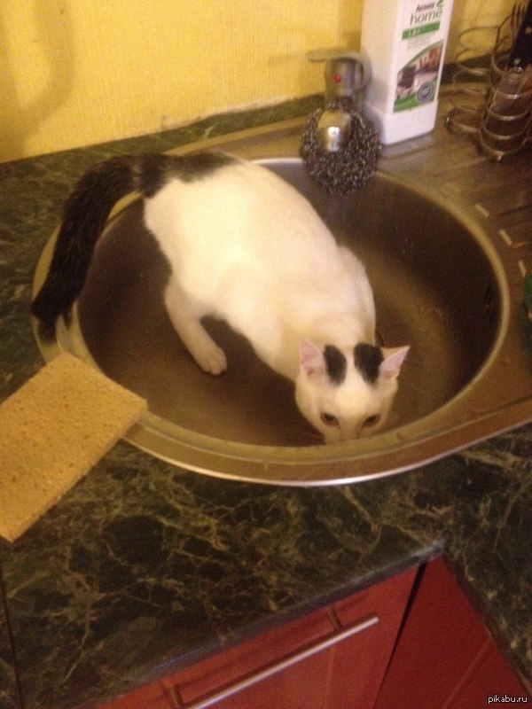 ������� � �����