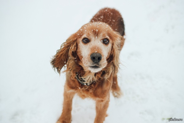 ϸ� � ����