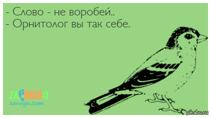Орнитолог вы так себе