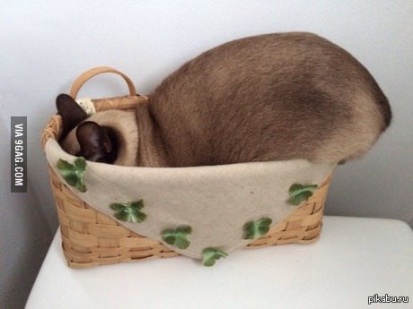 Никто меня не увидит