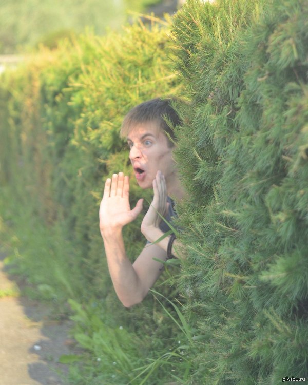 ������ �������