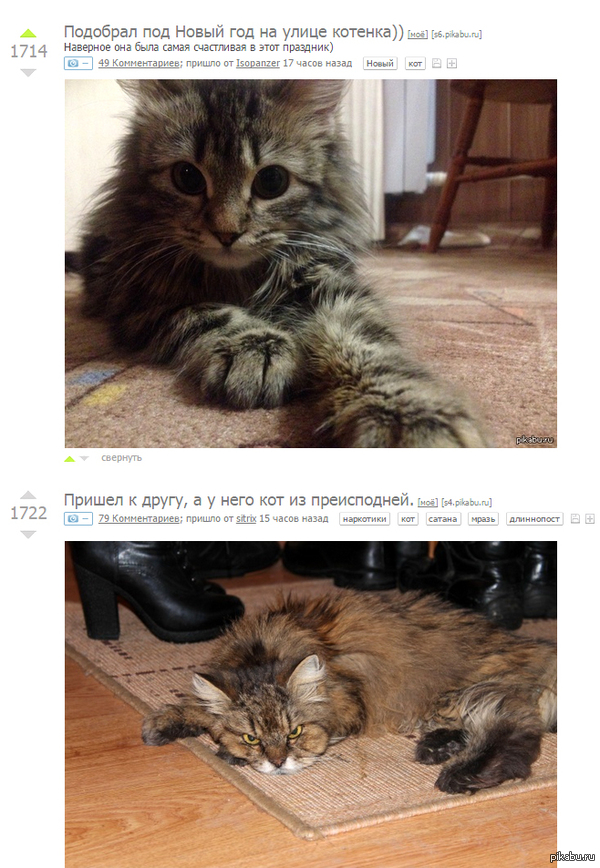 ���������� ��������