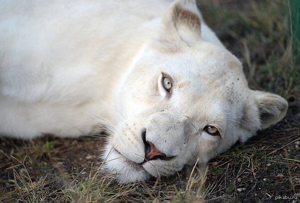 �������� ����� ��������� �����������!