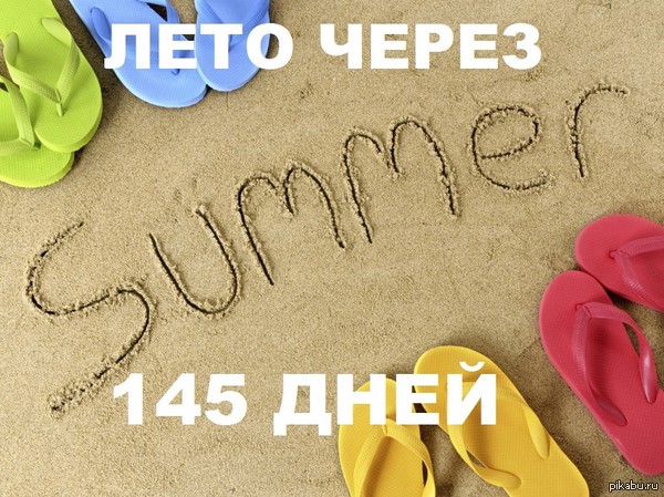 The new year has passed, we are waiting for the summer - My, Summer, Soon, Heat, The sun