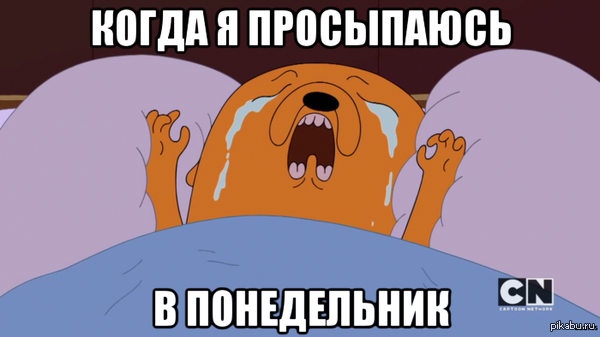 Коротко о главном