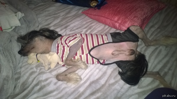 ���� ��� ������,�����:���,���������,�����