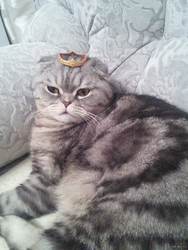 So fabulous.