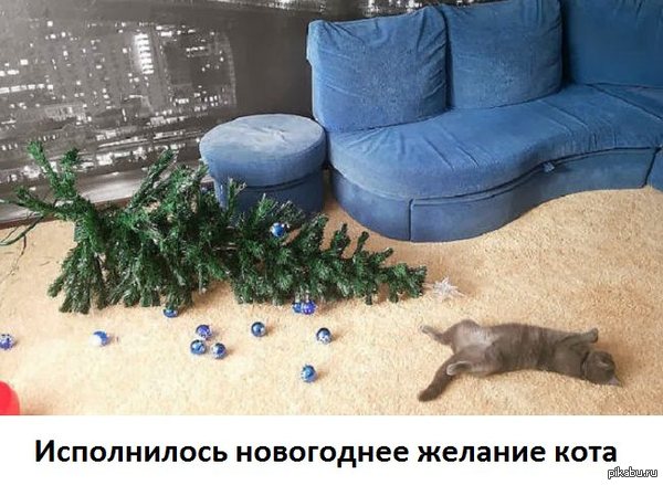 ����������� ���������� ������� ����