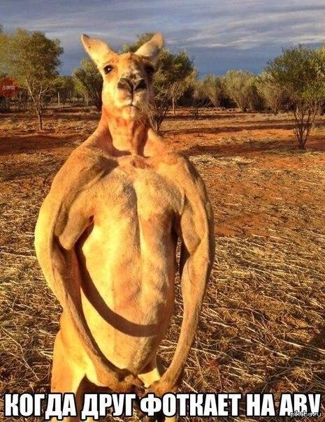 ����� ���� ������� �� ���