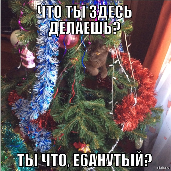 ���������� �����