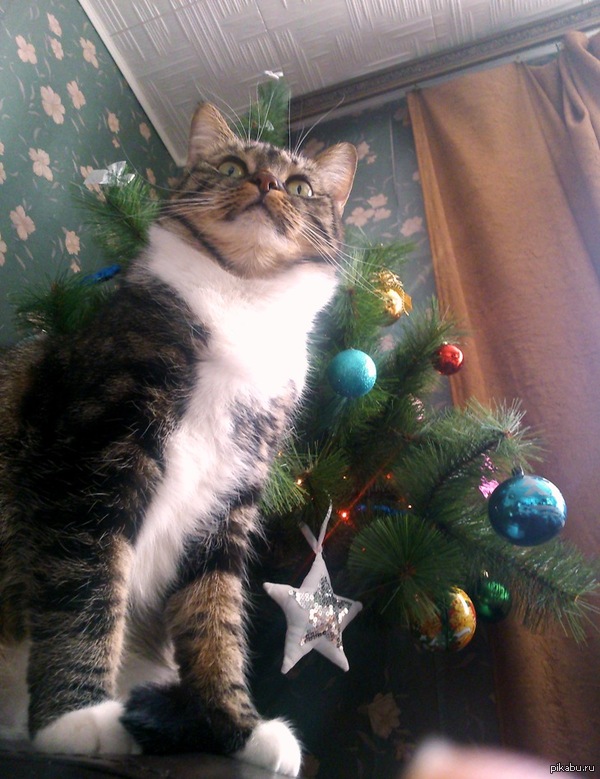 ���������� ������� �������