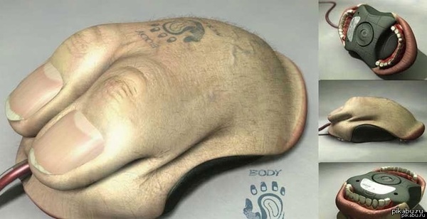 ������ ����