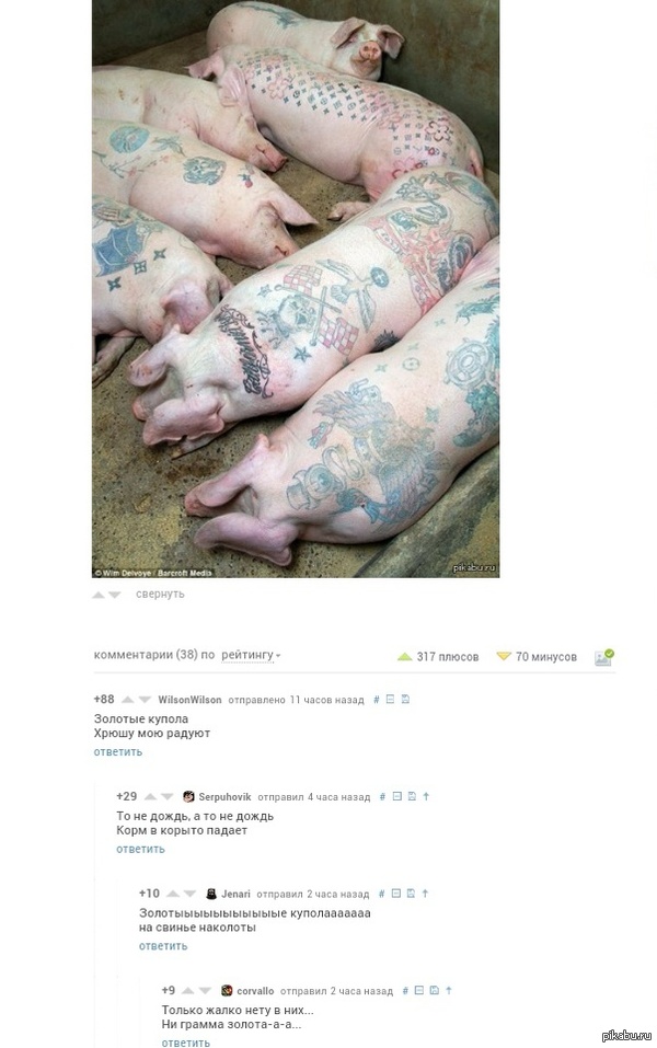 �����������, ��� ������ ����������)