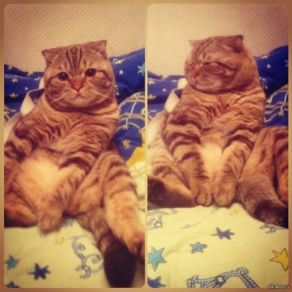 ��� ���������, � ���������.