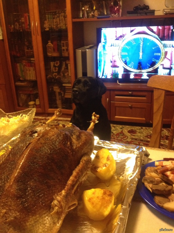 ����� 2015 ���