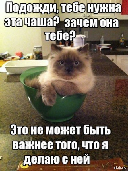 ����� ����? ��� ������)