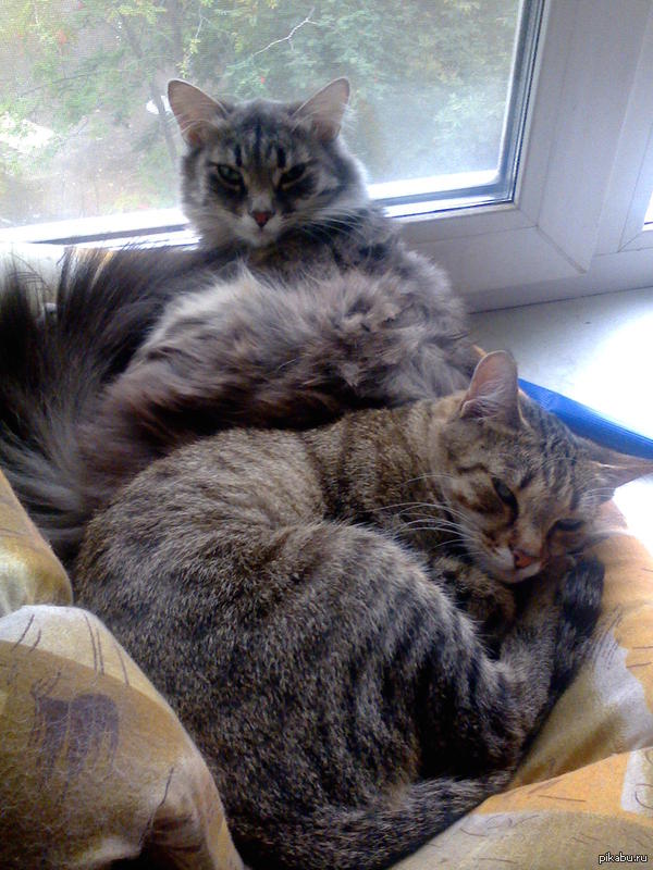 ����� � ������?���