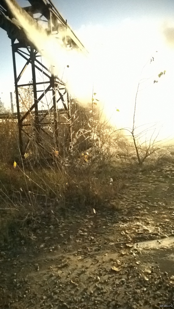 По дороге на работу вот такая красота