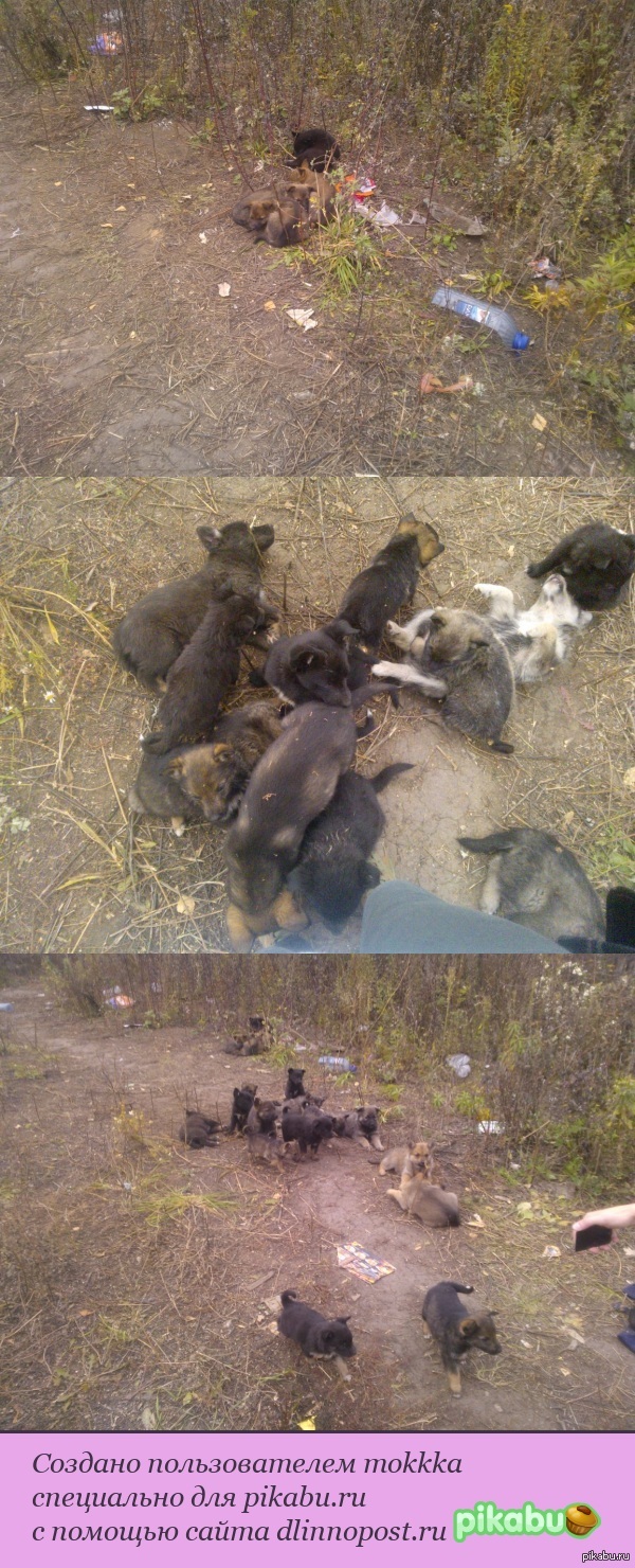 ���� ������������