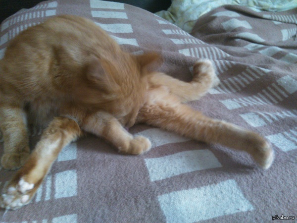 Иногда я боюсь его.