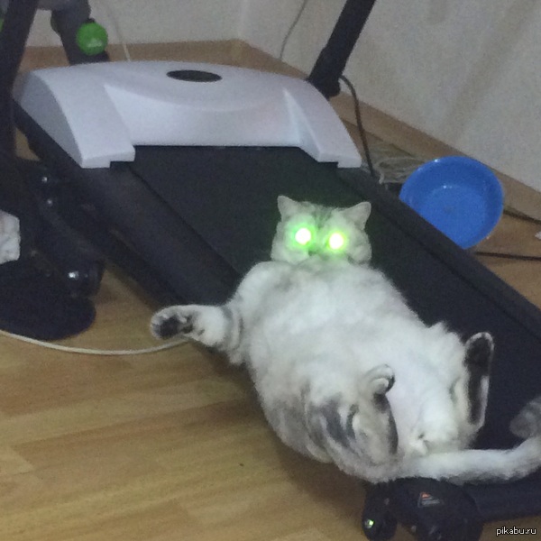 ������ ����� ����������