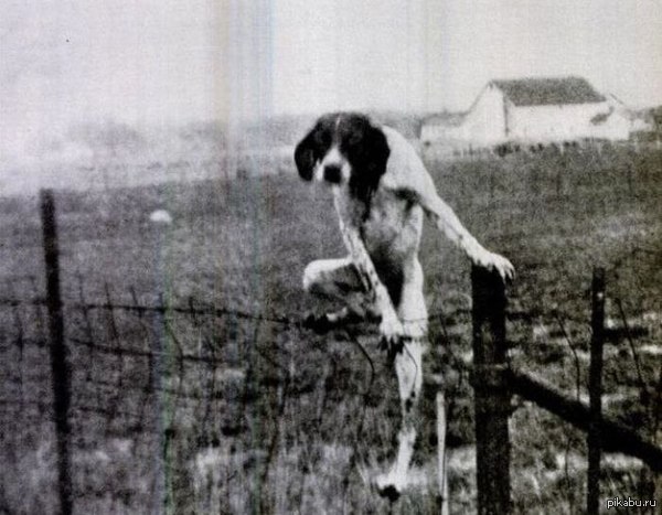 �,  ������ ���� ����� ,  ����� ������� �� ������